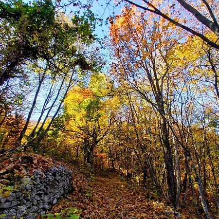 Casa Avella Mountain Retreat Bed & Breakfast *