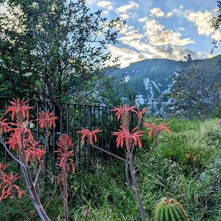 Casa Avella Mountain Retreat Bed and breakfast