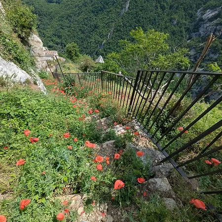 Casa Avella Mountain Retreat Bed and breakfast