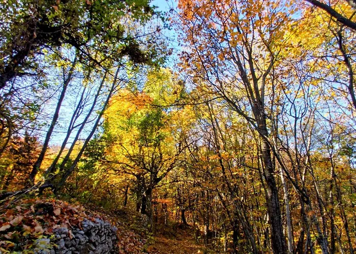 Casa Avella Mountain Retreat Alojamento de Acomodação e Pequeno-almoço 3*