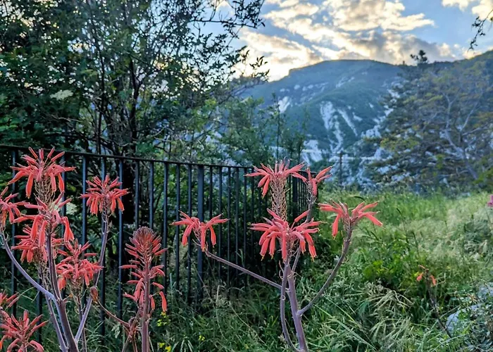 Casa Avella Mountain Retreat Bed & Breakfast