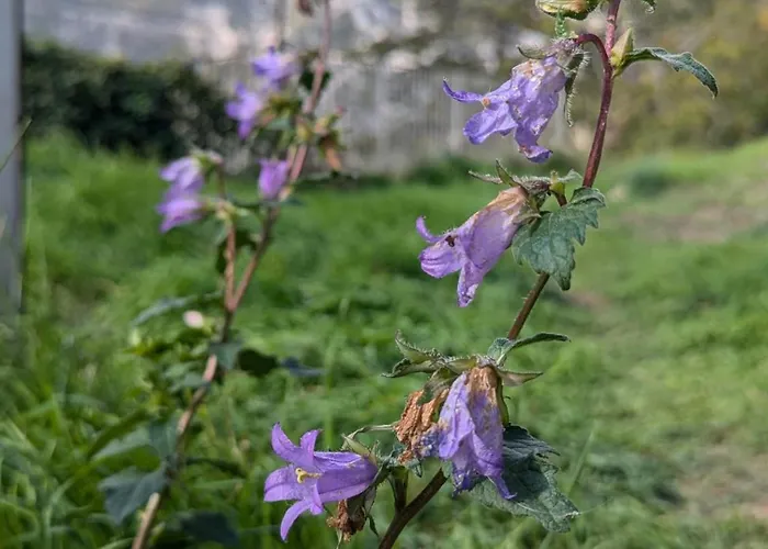 Casa Avella Mountain Retreat 3* Pennapiedimonte