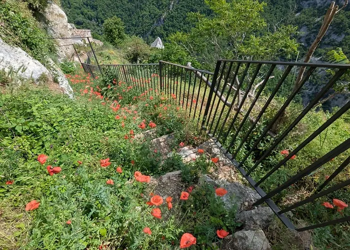 Casa Avella Mountain Retreat Bed & Breakfast